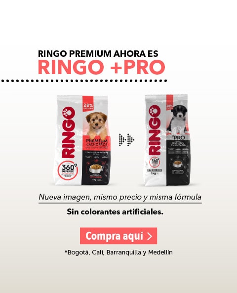Ringo + Pro cachorros
